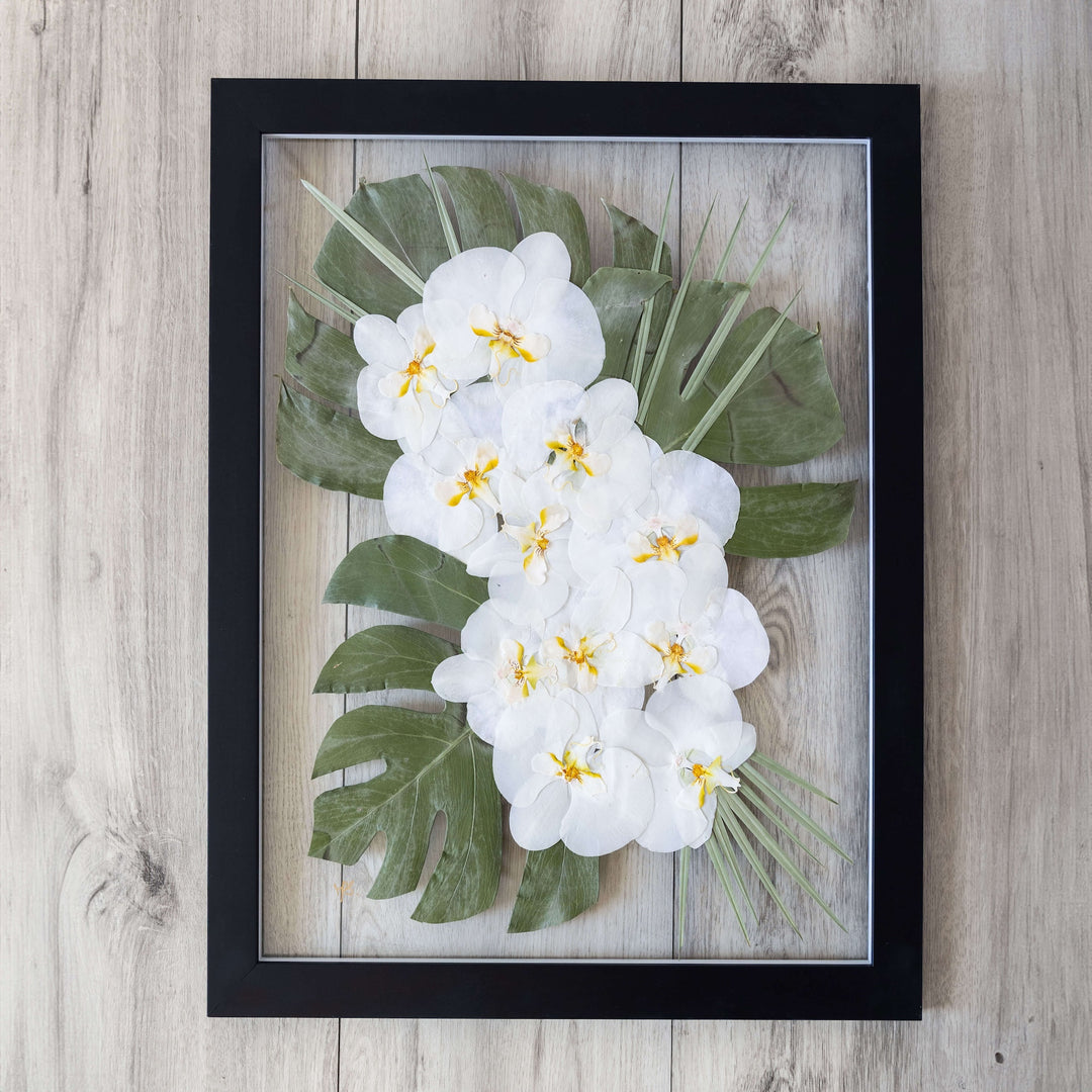 18" x 24" FRAMES (VERY POPULAR)